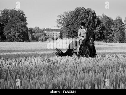 Une femme à cheval sur un cheval dans un champ Banque D'Images