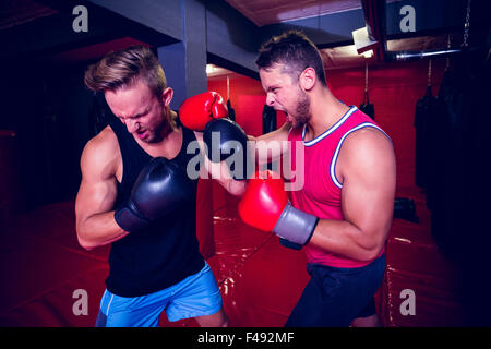 Deux hommes exerçant ensemble de boxe Banque D'Images