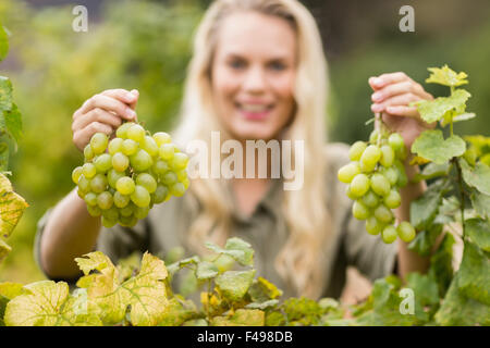 Vigneron Smiling blonde holding grapes Banque D'Images