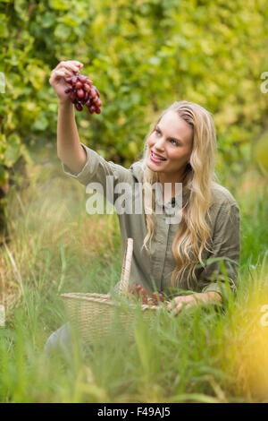 Vigneron blonde remettre un raisin rouge Banque D'Images