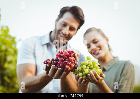 Deux jeunes vignerons heureux holding grapes Banque D'Images