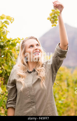 Smiling blonde holding vigneron un raisin Banque D'Images