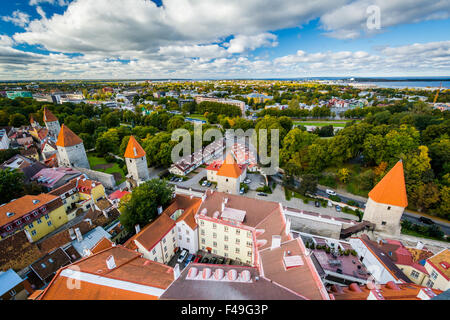 Vue sur la vieille ville de La Tour de l'église de l'OLAF, à Tallinn, Estonie. Banque D'Images