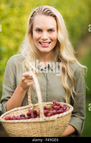 Vigneron blonde tenant un panier de raisin rouge Banque D'Images