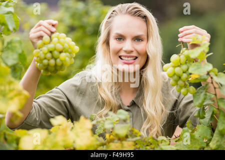 Vigneron Smiling blonde holding grapes Banque D'Images