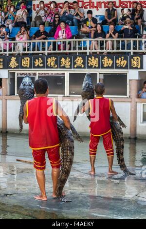 Samut Prakan, Thaïlande. 13 Oct, 2015. Artistes ont les crocodiles au public lors d'une performance à la ferme aux crocodiles de Samut Prakan, Thaïlande, 13 octobre 2015. La ferme à Samut Prakan est compté parmi les plus grandes fermes de crocodiles. Photo : IAN ROBERT KNIGHT/dpa/Alamy Live News Banque D'Images