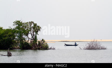 Pêcheur traditionnel dans l'estuaire Kallady, Sri Lanka Banque D'Images