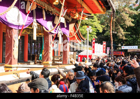 Kyoto, Yasaka, le jour de l'An, shogatsu. Scène mouvementée de personnes priant devant Haiden et jeter des monnaies à la scène. Très encombré. Banque D'Images