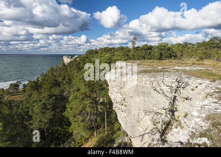 Côte paysage, Gotland, Suède Banque D'Images