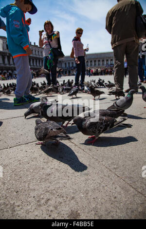 Alimentation touristes pigeons sur la Place Saint Marc Venise Banque D'Images