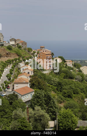 Village de Cervione, Costa Verde, Corse Banque D'Images