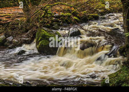 Aira Force Rushing River Cumbria UK Banque D'Images