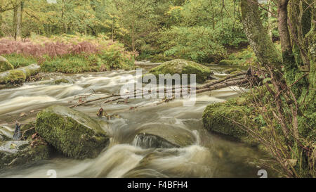 Aira Force Rushing River Cumbria UK Banque D'Images