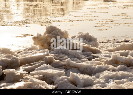 Des blocs de glace dans l'Elbe Banque D'Images