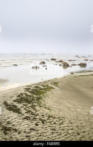 Côte de la mer Baltique dans le brouillard Banque D'Images