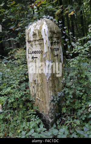 Vieux Milepost montrant le chemin vers Tintern et Llandrogo, Wye Valley Walk, Monmouthshire Banque D'Images