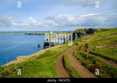 South West Coast Path et Cornwall coast vue près de meneau, Péninsule du Lézard, Cornwall, England, UK Banque D'Images