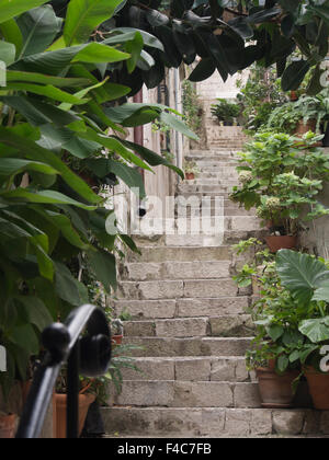 Dubrovnik Croatie, de la vieille ville 'Stari Grad' est plein de petites rues, ruelles et escaliers un pittoresque site du patrimoine mondial de l'UNESCO Banque D'Images