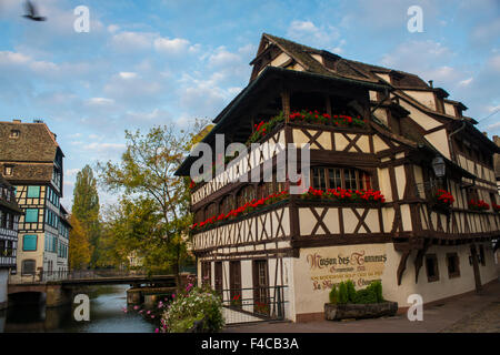 La maison des Tanneurs, Petite France, Strasbourg, Alsace à la première lumière, Octobre 2015 Banque D'Images