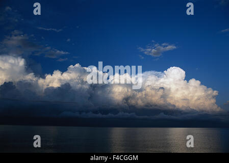 La Tanzanie, le lac Tanganyika voir le Parc National de Gombe Stream pour la saison. Tailles disponibles (grand format) Banque D'Images