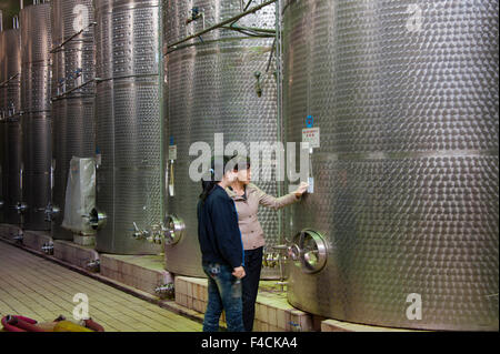 La Chine, Ningxia. Assistant vinificateur et cochez l'une des citernes en acier inoxydable utilisé par Dragon's Hollow winery à Pernod Richard's montagnes Helan installation. Banque D'Images