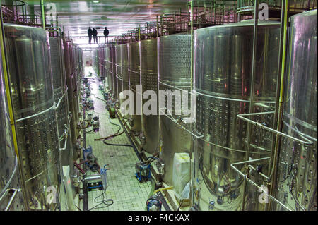 La Chine, Ningxia. Les réservoirs de fermentation en acier inoxydable travailleurs nain chez Pernod Ricard's montagnes Helan winery. Banque D'Images