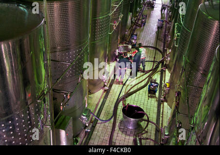 La Chine, Ningxia. Les réservoirs de fermentation en acier inoxydable travailleurs nain chez Pernod Ricard's montagnes Helan winery. Banque D'Images