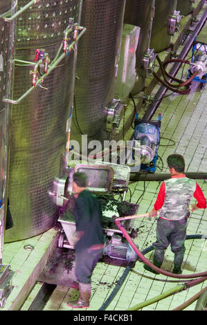 La Chine, Ningxia. Les réservoirs de fermentation en acier inoxydable travailleurs nain chez Pernod Ricard's montagnes Helan winery. Banque D'Images