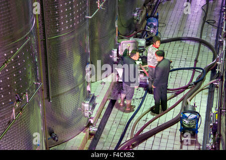 La Chine, Ningxia. Les réservoirs de fermentation en acier inoxydable travailleurs nain chez Pernod Ricard's montagnes Helan winery. Banque D'Images