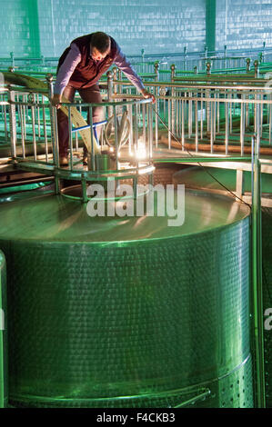 La Chine, Ningxia. Vigneron Craig Grafton ressemble dans une cuve de fermentation en acier inoxydable à Pernod Ricard en montagnes Helan winery. Banque D'Images