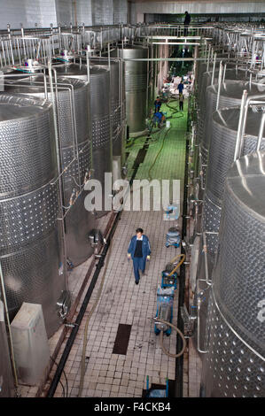 La Chine, Ningxia. Les réservoirs de fermentation en acier inoxydable travailleurs nain chez Pernod Ricard's montagnes Helan winery. Banque D'Images