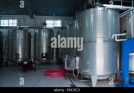 Yinchuan, Ningxia, Chine. Les réservoirs de fermentation en acier inoxydable vide s'asseoir à Qing Helan Xue Winery. Banque D'Images