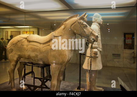 La Chine, Shaanxi, Lintong District, Xian. Affichage de cheval et guerrier dans l'Armée de terre cuite du musée. Banque D'Images