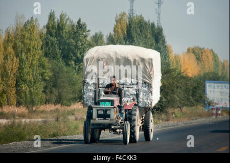 La Chine, le Xinjiang, Xinjiang, Changji Hui. Un travailleur conduit un tracteur tirant un wagon chargé avec du coton près de Fukang. Banque D'Images