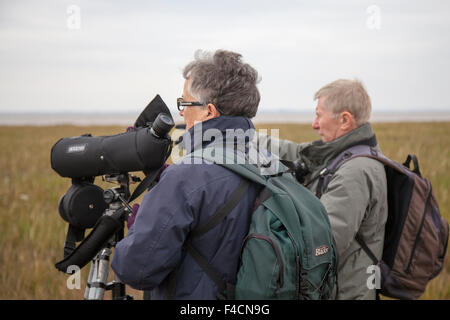 Southport, Merseyside, UK 16 Octobre, 2015. Personnes âgées, les aînés d'oiseaux, à l'aide d'un téléscope, télescope, jumelles, et descendre à Southport. Ils regardent le spectacle de la faune que les échassiers et autres oiseaux se déplacent à travers le marais à la recherche d'alimentation sites de repos comme l'eau de mer s'élève. La première 500 oies à bec court ont fait le voyage de 500 milles de l'Islande à dépenser le mois prochain à Marshside et se percher sur le simple. Au cours des deux prochaines semaines nombre augmentera progressivement avec une estimation de 100 000 oies devraient arriver à partir de l'Islande. Banque D'Images