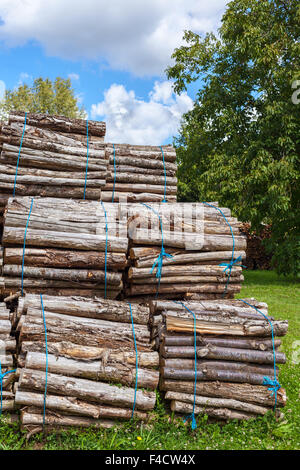 Gros tas de bois de sciage ensembles dans un contexte rural. Shot verticale Banque D'Images