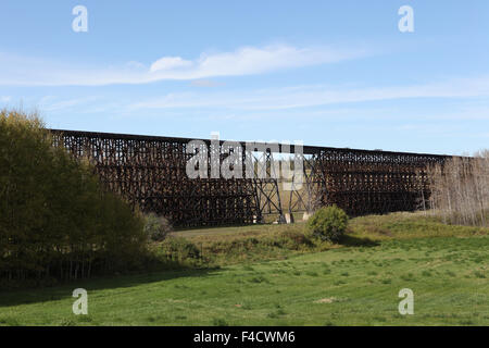 Tréteau train en bois dans le nord de l'Alberta, Canada. Rochfort Trestle près de Mayerthorpe, en Alberta, Canada. Banque D'Images