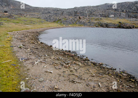 Au Canada, le Nunavut, Cape Dorset. Le parc territorial de l'Mallikjuag site archéologique. Des os d'animaux à partir de générations d'habitants de chasse 1000 BC. Banque D'Images