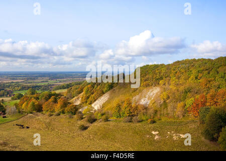 Le patchwork paysage de la vallée de York à l'automne, vu de scenic Thixendale sur le Yorkshire Wolds en octobre. Banque D'Images