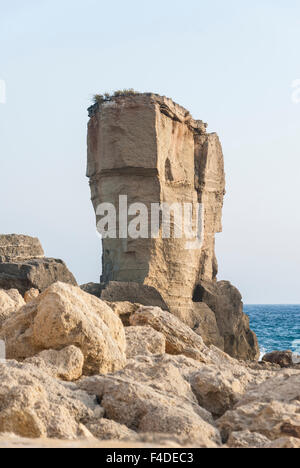 Avis de Proto Miggiano en côte du Salento, Pouilles, Italie Banque D'Images