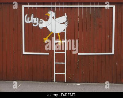 Montrant des signes de poulet blanc peinture au pistolet 'Pourquoi '(did the chicken cross the road) en peinture blanche sur brown clôture en Irlande Dingle Banque D'Images