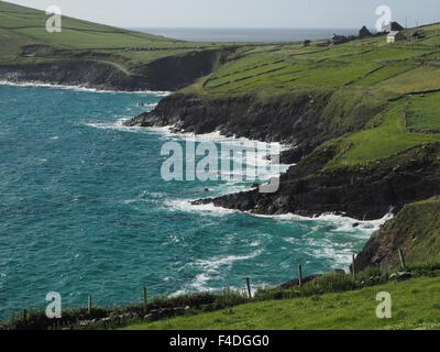 Soleil, vagues se briser contre les criques rocheuses de Slea Head sur la péninsule de Dingle, Irlande avec parois en pierre des champs et ferme blanche Banque D'Images