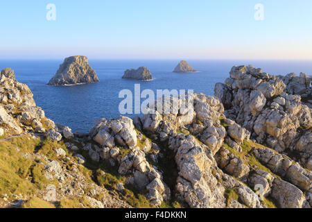 Pointe de Pen-Hir et côte de, presqu'île de Crozon, Bretagne, France Banque D'Images