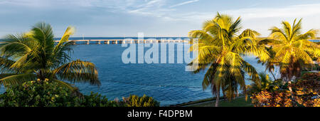 Vue de la route d'outre-mer encadré par des palmiers de la ville historique de pont ferroviaire à Bahia Honda State Park à Florida Keys, USA. Banque D'Images