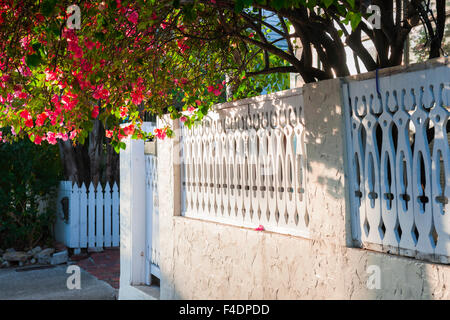 Avis de clôture ornés de fleurs blanches de bougainvilliers pourpres de Key West, Florida Keys, USA. Banque D'Images