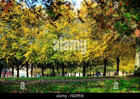 Glasgow, Ecosse, Royaume-Uni. 16 octobre, 2015. Les gens marchent à travers Glasgow Green comme le soleil d'automne s'allume les arbres. Crédit : Tony Clerkson/Alamy Live News Banque D'Images