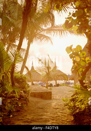 Lever du soleil sur la plage palapas à Maroma Resort et Spa. Riviera Maya, Mexique Yucatan,. Banque D'Images