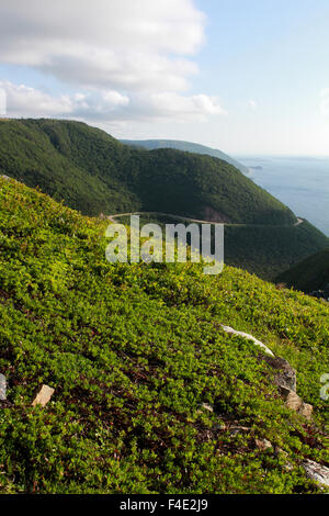 Le sentier Skyline au Cap-Breton, en Nouvelle-Écosse. Banque D'Images