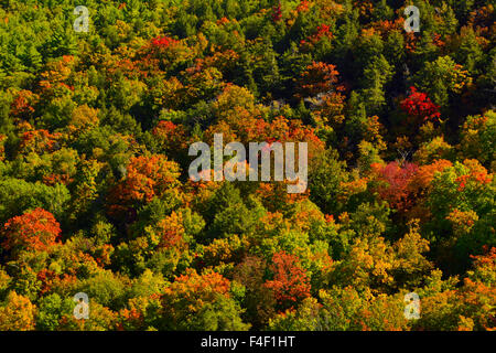 Couleurs d'automne à John Boyd Thatcher State Park, New York, USA. Banque D'Images