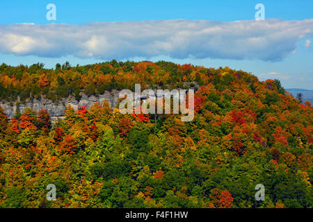 Couleurs d'automne à John Boyd Thatcher State Park, New York, USA. Banque D'Images